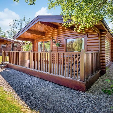 Fingle Glen Lodges Whitestone Zewnętrze zdjęcie